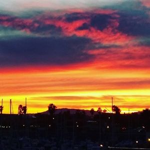 Meet your Posher, Joey